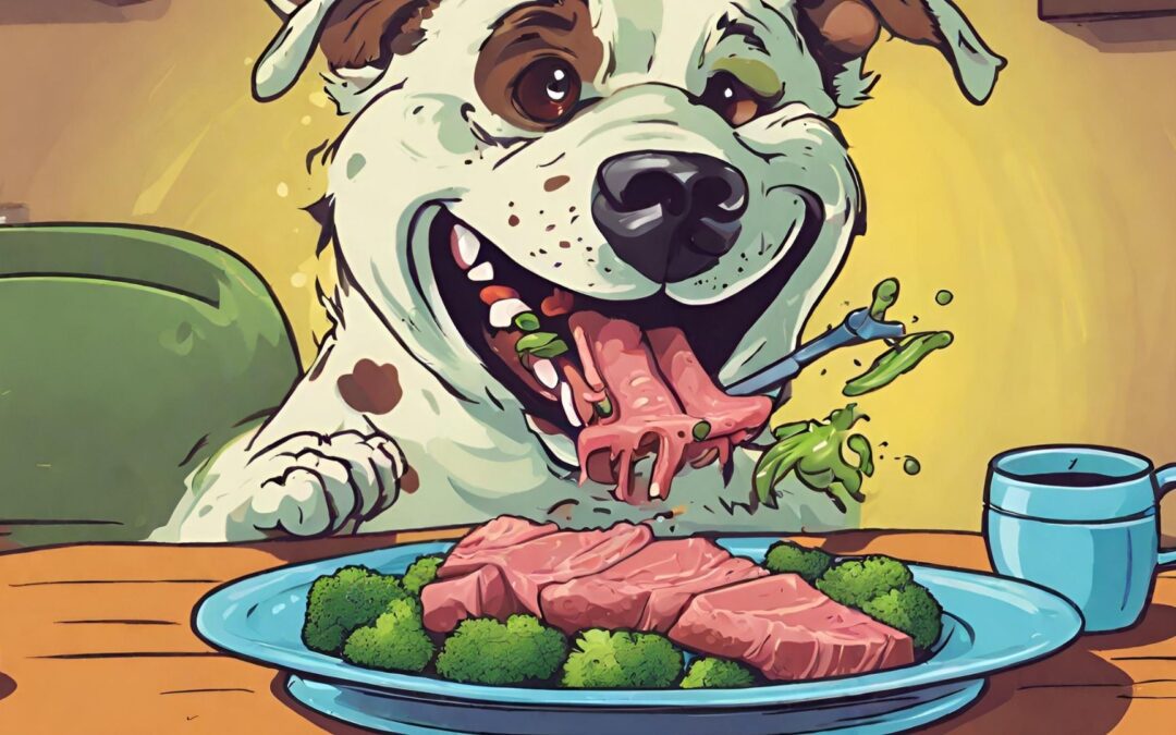 Receta Casera para la Artritis en perros con Atún y brócoli
