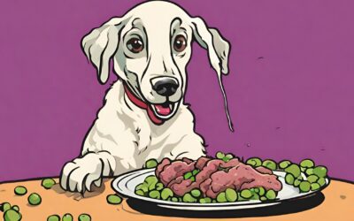 Comida Casera para Cachorros de perro: buen desarrollo muscular